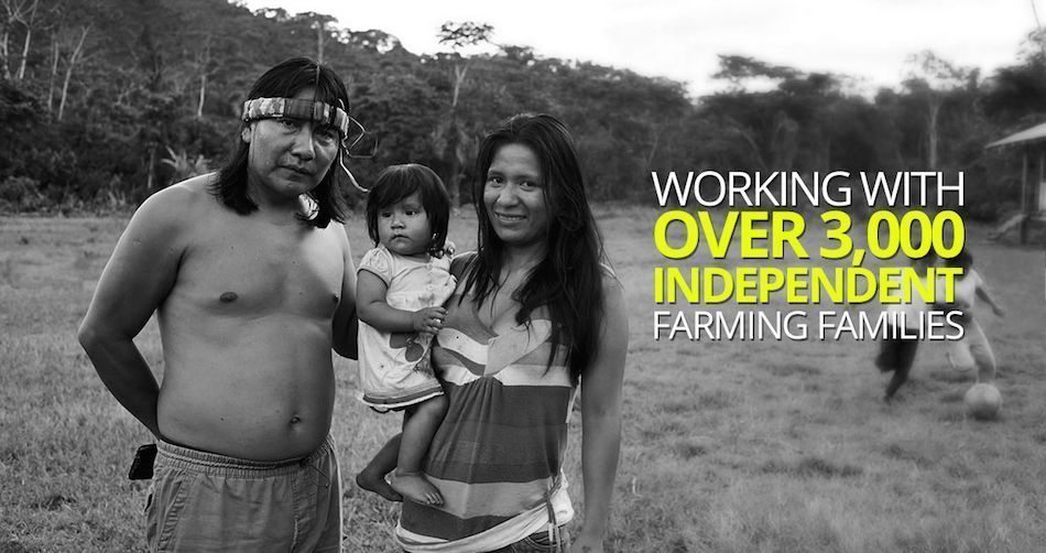 Runa exists to support small farmers in the Amazon while maintaining the integrity of the rainforest.