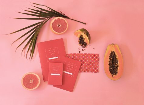Public Supply offers plain notebooks like the red one above and more unique limited edition designs produced in collaboration with various artists. 